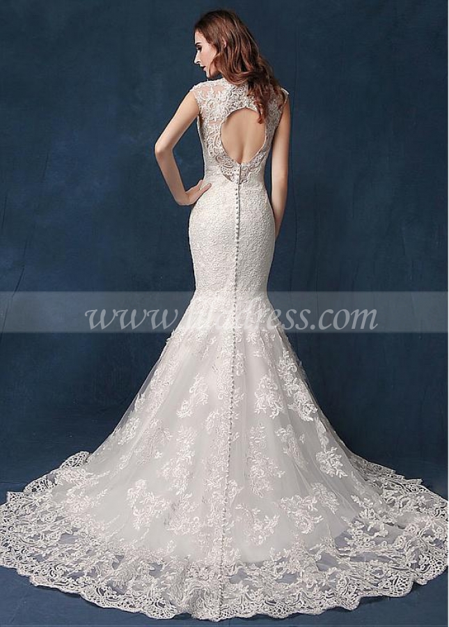 Gorgeous Tulle V-neck Neckline Cut-out Back Mermaid Wedding Dress With Beadings & Lace Appliques