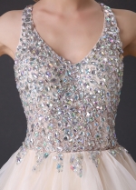 Brilliant Organza Beaded Neckline A-Line Homecoming / Sweet 16 Dresses