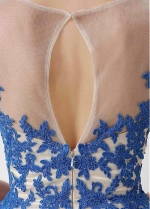 Unique Tulle Bateau Neckline Short A-line Homecoming Dresses With Lace Appliques