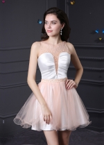 Charming Tulle Illusion Neckline A-Line Homecoming / Sweet 16 Dresses