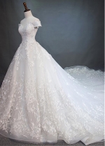 Junoesque Tulle Off-the-shoulder Neckline A-line Wedding Dress With Beaded Lace Appliques