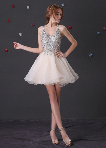 Brilliant Organza Beaded Neckline A-Line Homecoming / Sweet 16 Dresses