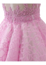 Lovely Pink Jewel Neckline A-line Short Homecoming Dress