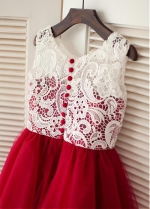 Sweet Lace & Tulle Scoop Neckline A-line Flower Girl Dresses