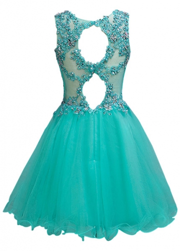 Pretty Tulle Jewel Neckline Short A-line Homecoming Dress With Beaded Lace Appliques