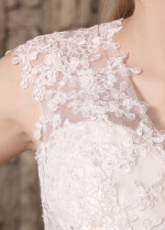 Romantic Tulle V-neck Neckline Lace Appliques Mermaid Wedding Dresses