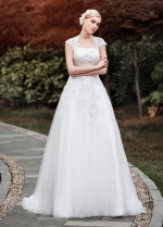 Elegant Lace & Tulle Queen Anne Neckline A-line Wedding Dresses