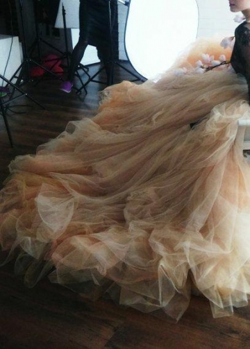 Illusion Black Lace Wedding Dress with Blush Tulle Skirt