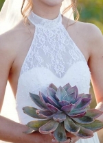 Lace Halter Backless Beach Style Wedding Dresses Chiffon Skirt