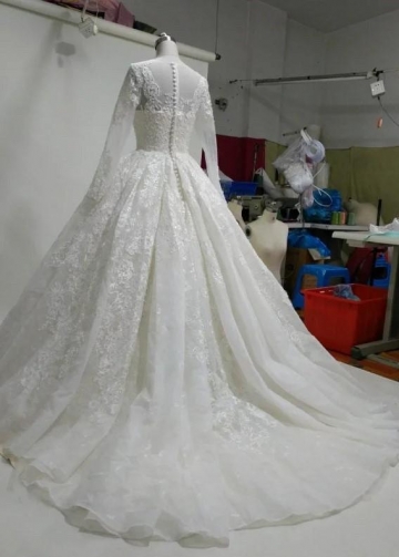 Princess Ball Gown Lace Wedding Dress with Long Sleeves