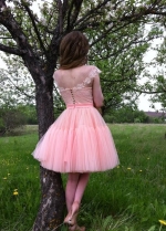 Transparent Neckline Blush Pink Homecoming Dress Lace Tulle Skirt